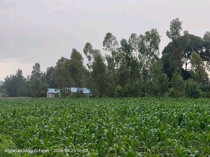 Farm